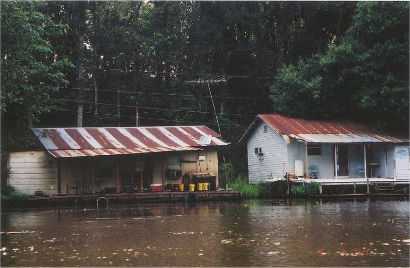swamp cabin2