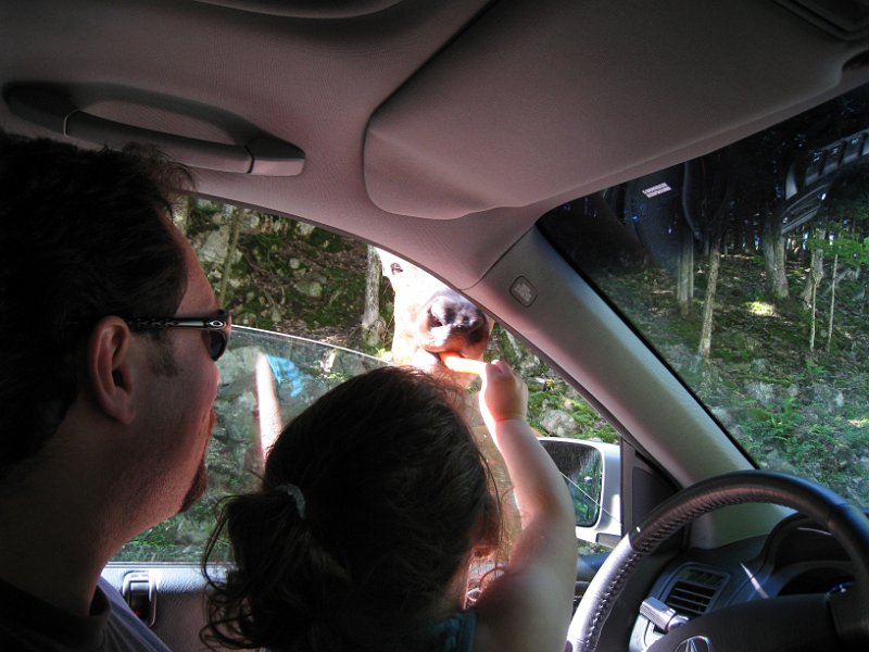 Tremblant 2008 0023