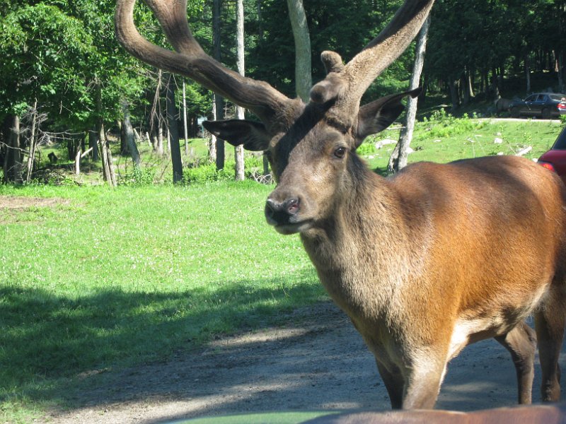 Tremblant 2008 0055