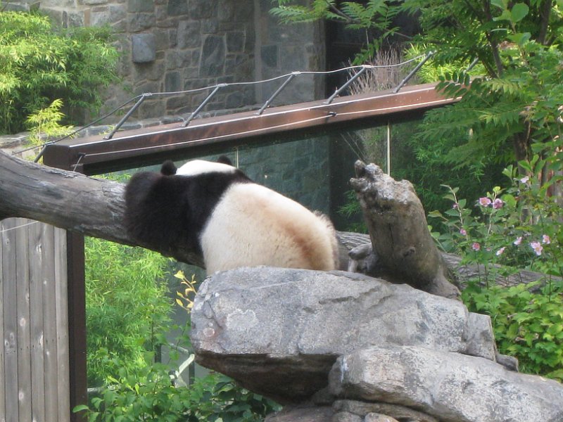 washington 2008 0037