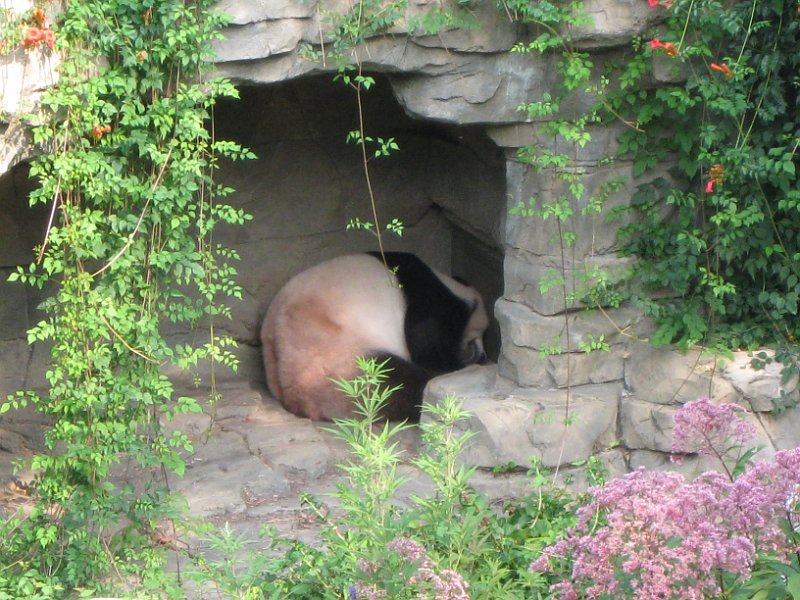 washington 2008 0040