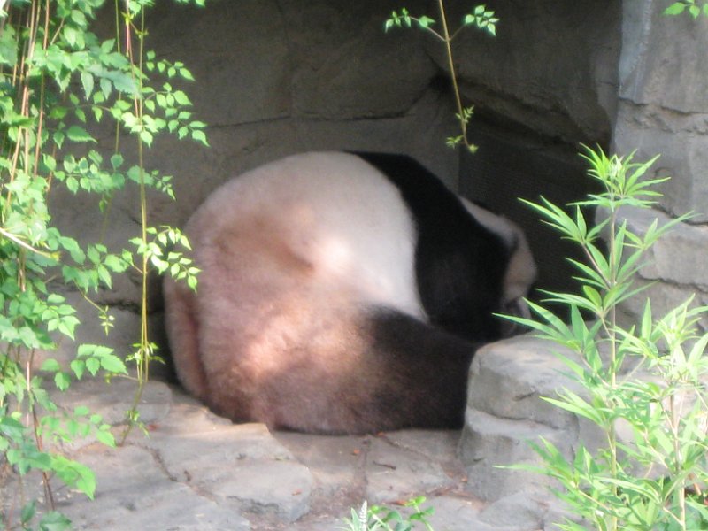 washington 2008 0041