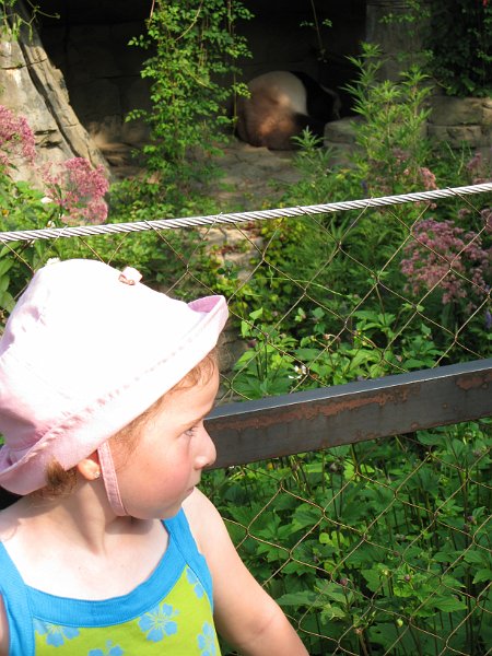 washington 2008 0042