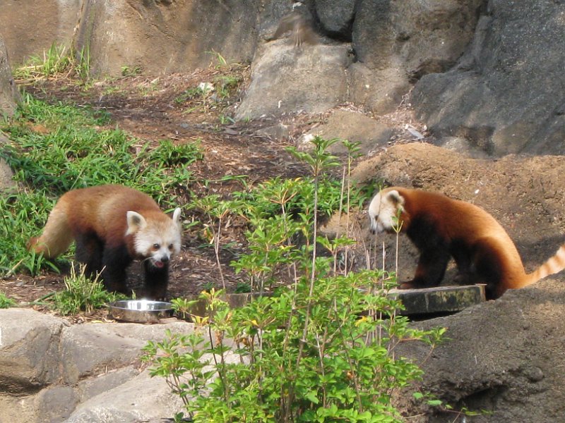 washington 2008 0043