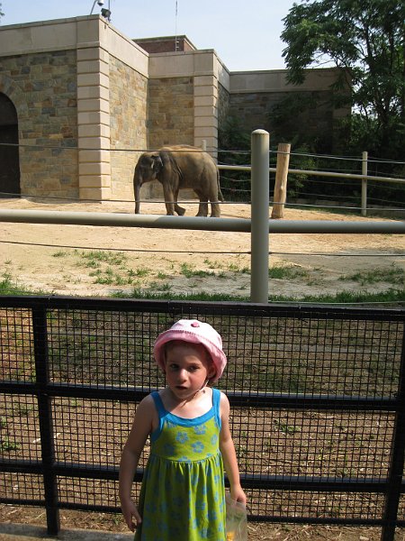 washington 2008 0045