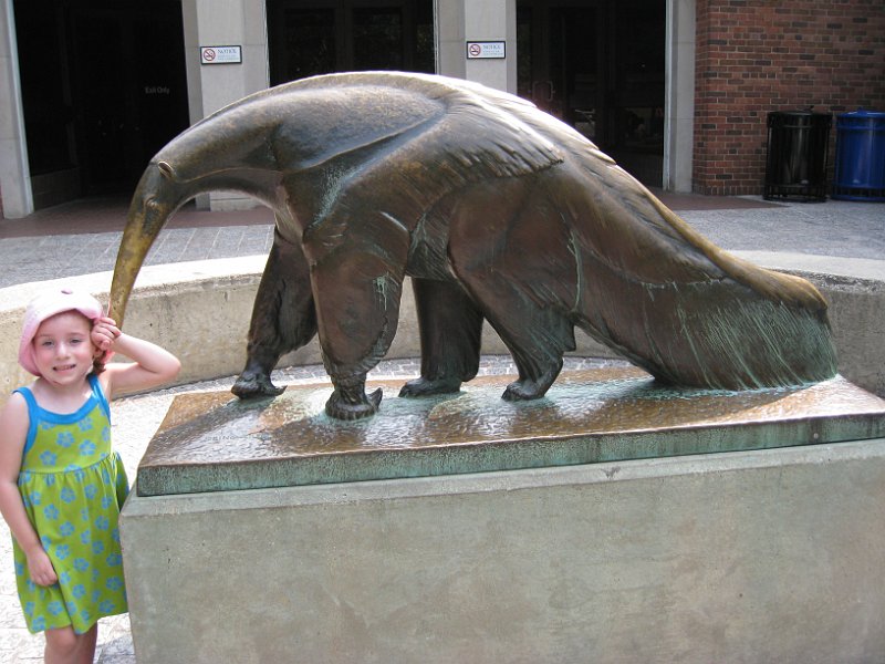 washington 2008 0046