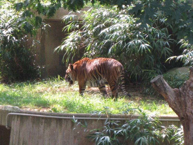 washington 2008 0049