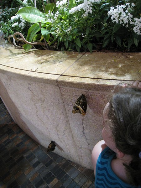 washington 2008 0073