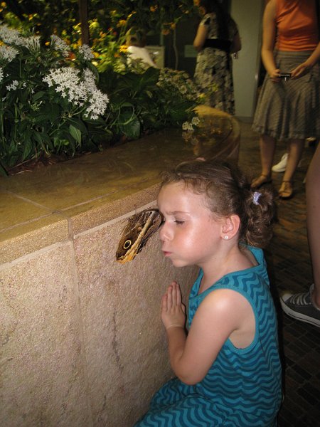 washington 2008 0074