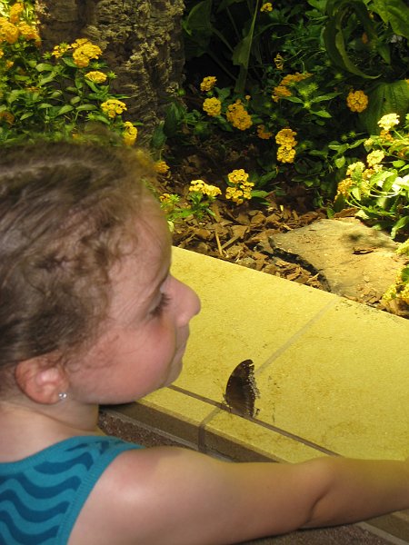 washington 2008 0075