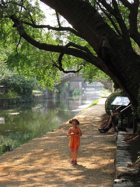 washington 2008 0123