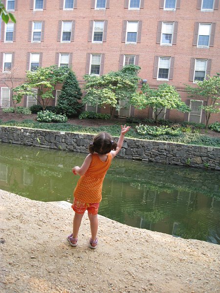 washington 2008 0125