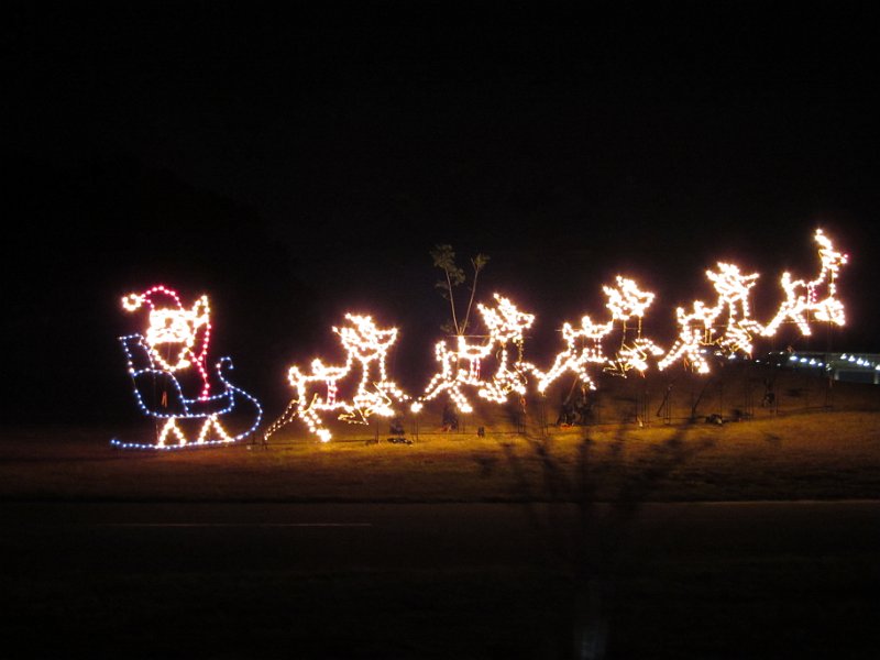 Florida Dec 2010 0041