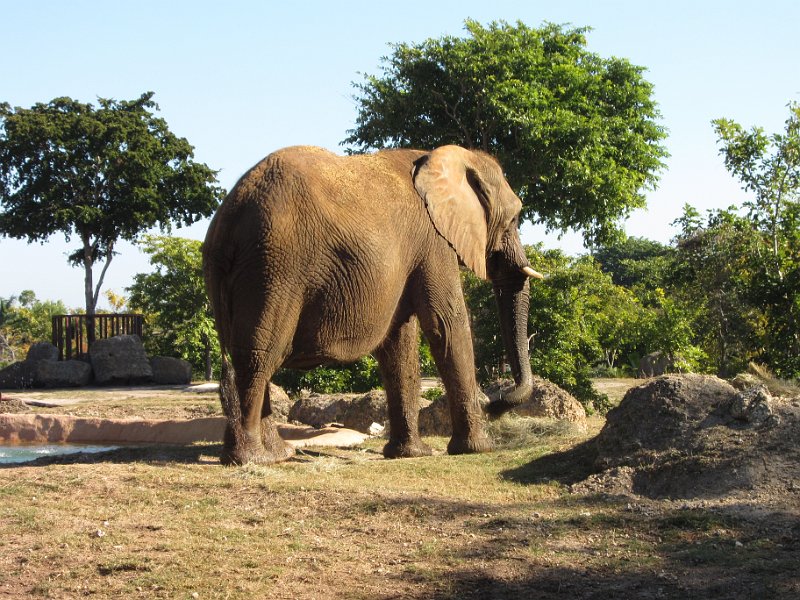 Florida Dec 2010 0093