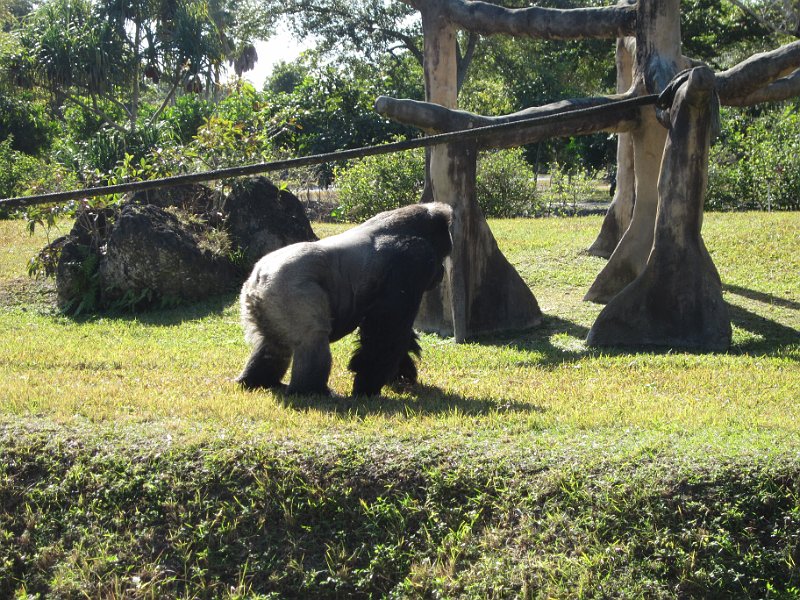 Florida Dec 2010 0104