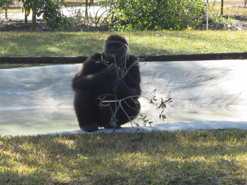 Florida Dec 2010 0105