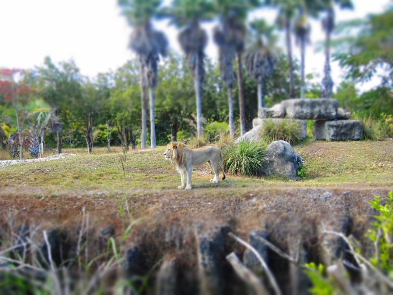 Florida Dec 2010 0132