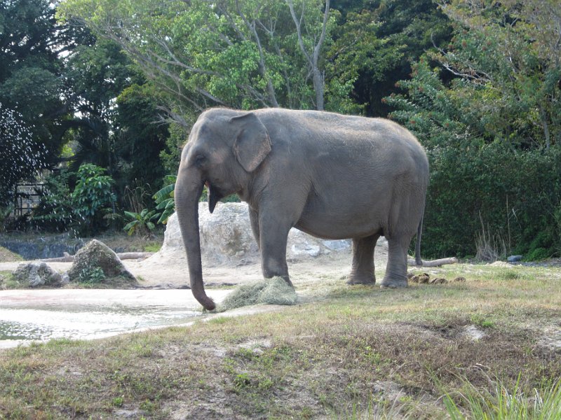 Florida Dec 2010 0134