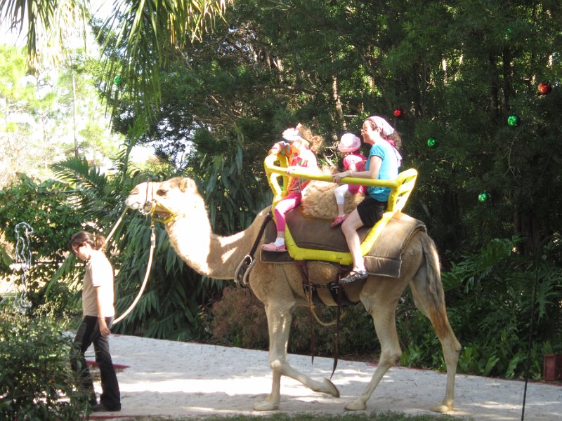 Florida Dec 2010 0137