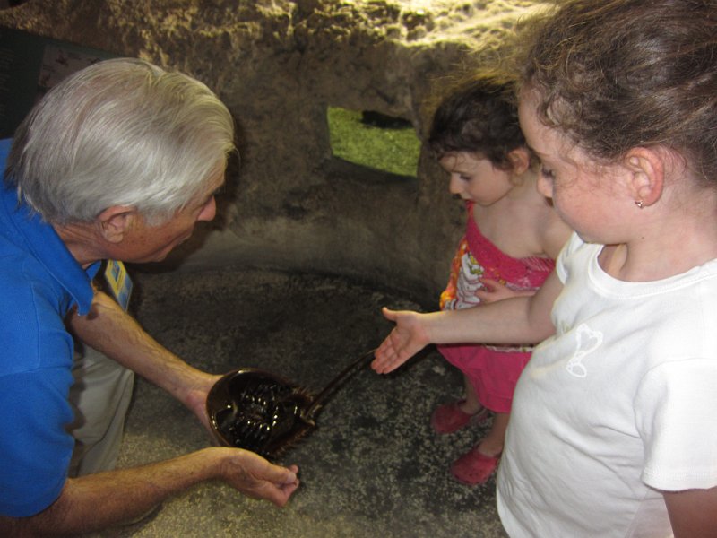 Florida Dec 2010 0207