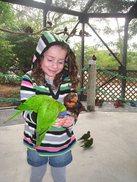 Florida 2010 0025