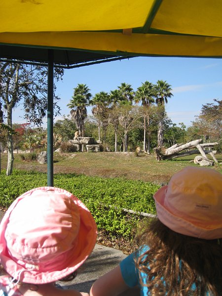 Florida 2010 0121