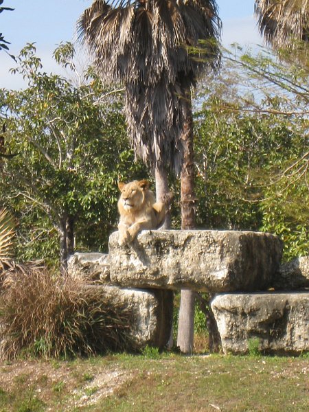 Florida 2010 0122