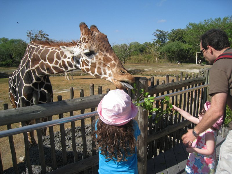 Florida 2010 0126