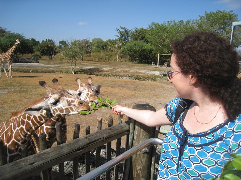 Florida 2010 0130