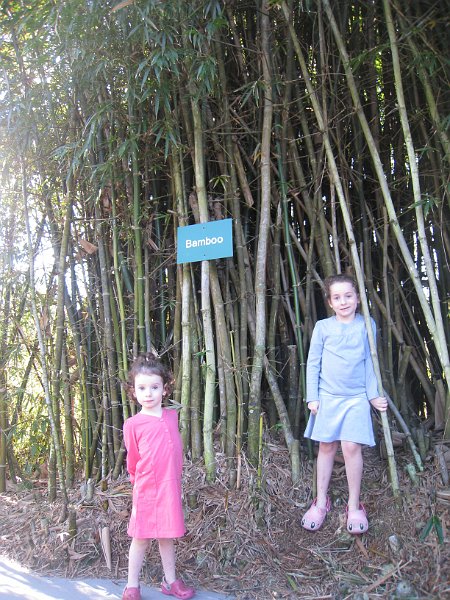 Florida 2010 0167