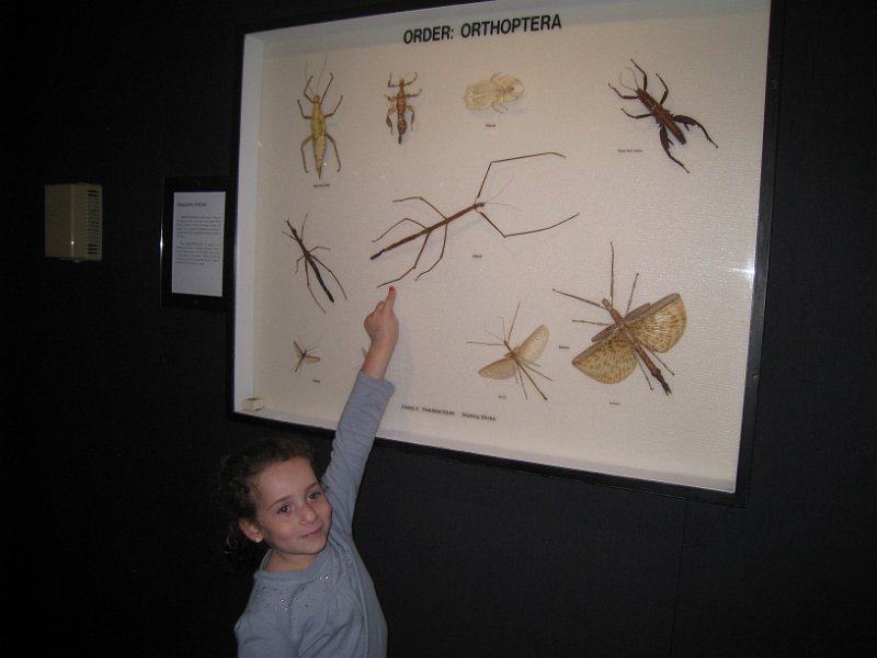 Florida 2010 0170