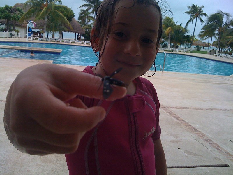 Mexico July 2010 0073