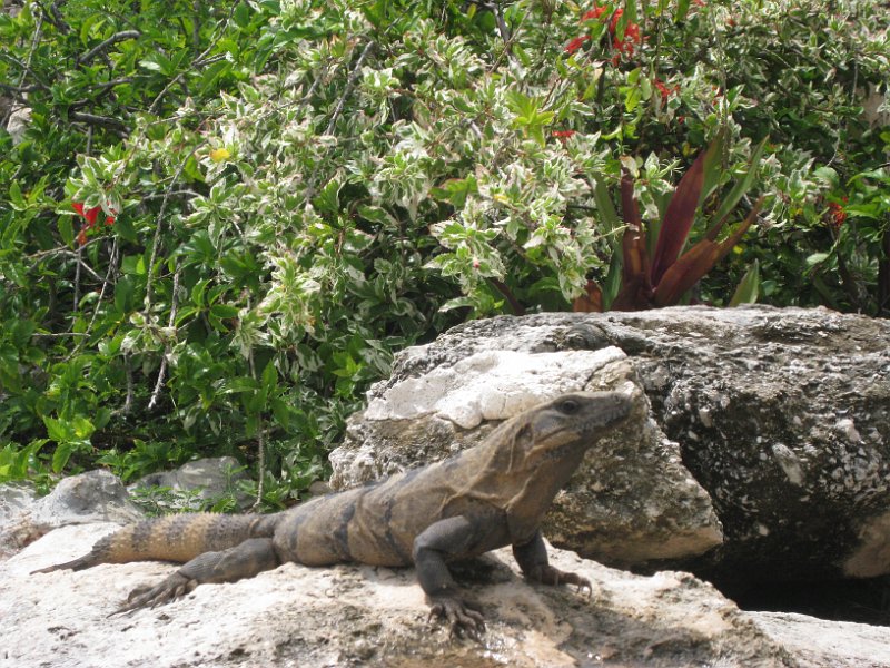 Mexico July 2010 0082