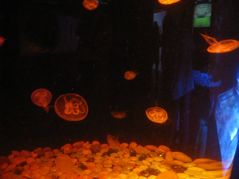 Mexico July 2010 0095