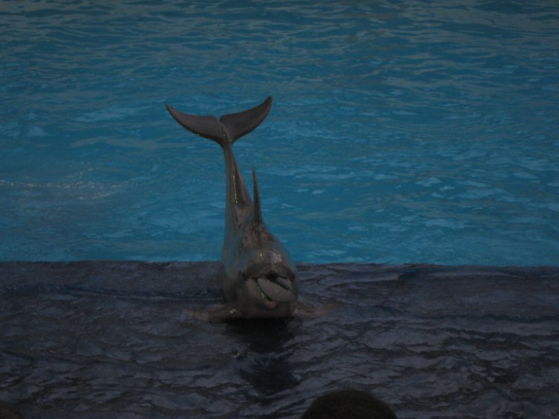 Mexico July 2010 0114