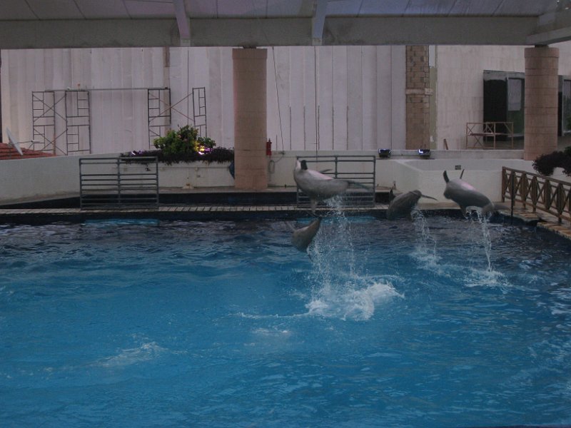 Mexico July 2010 0117