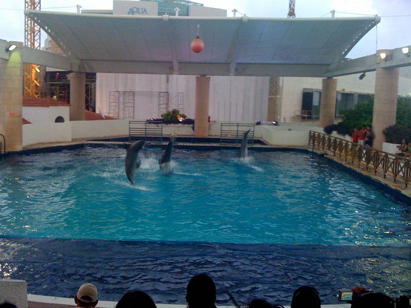 Mexico July 2010 0120