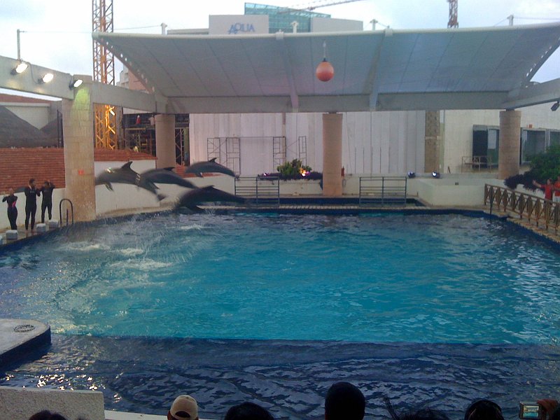 Mexico July 2010 0121