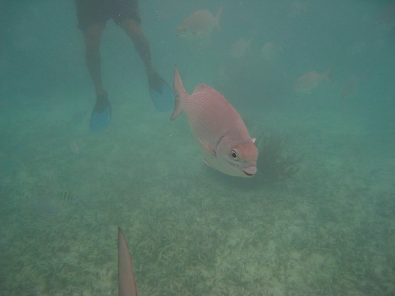 Mexico July 2010 0128