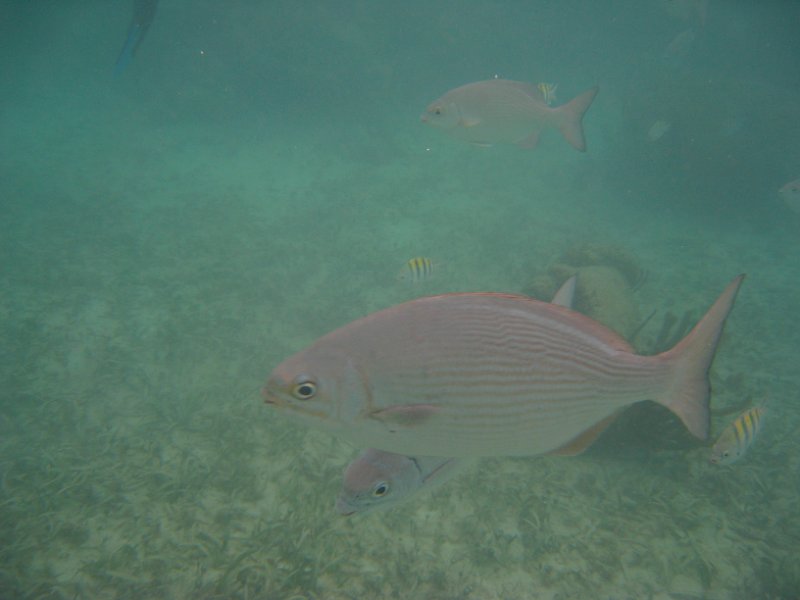 Mexico July 2010 0129