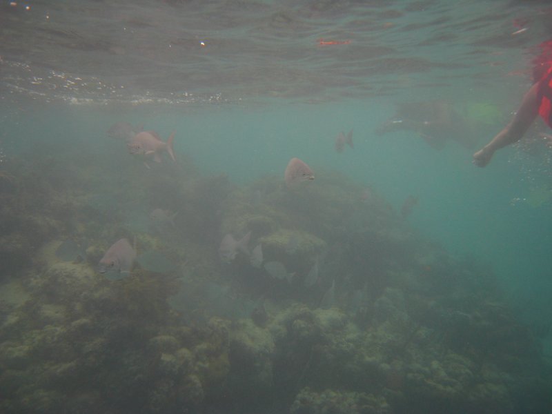 Mexico July 2010 0134