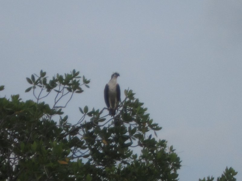 Club Med May2011 0156