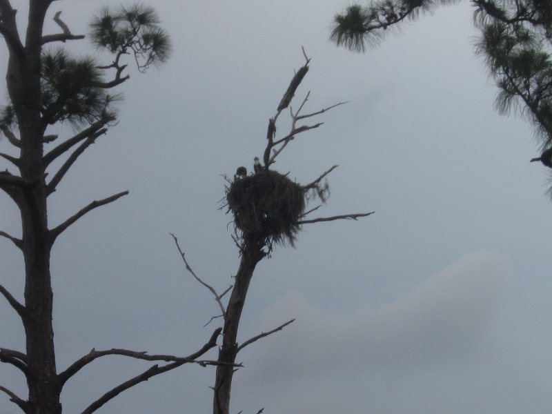 Club Med May2011 0157