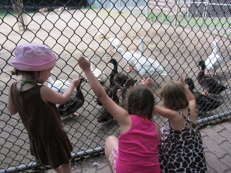 Toronto Aug2011 0072