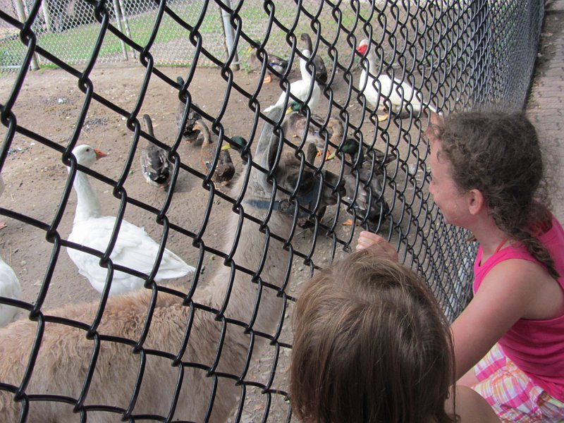 Toronto Aug2011 0074