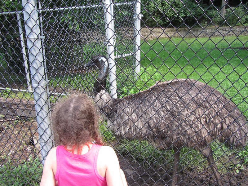 Toronto Aug2011 0076