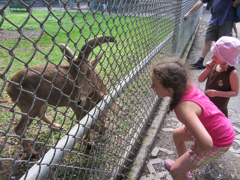 Toronto Aug2011 0079