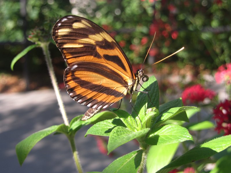 Florida Apr2012 0039