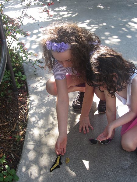 Florida Apr2012 0040