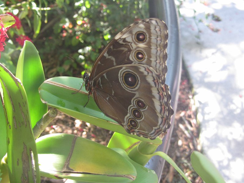 Florida Apr2012 0041